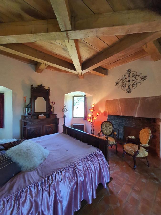 Chambre D'Hotes Au Chateau De Belcastel Belcastel  Exterior photo