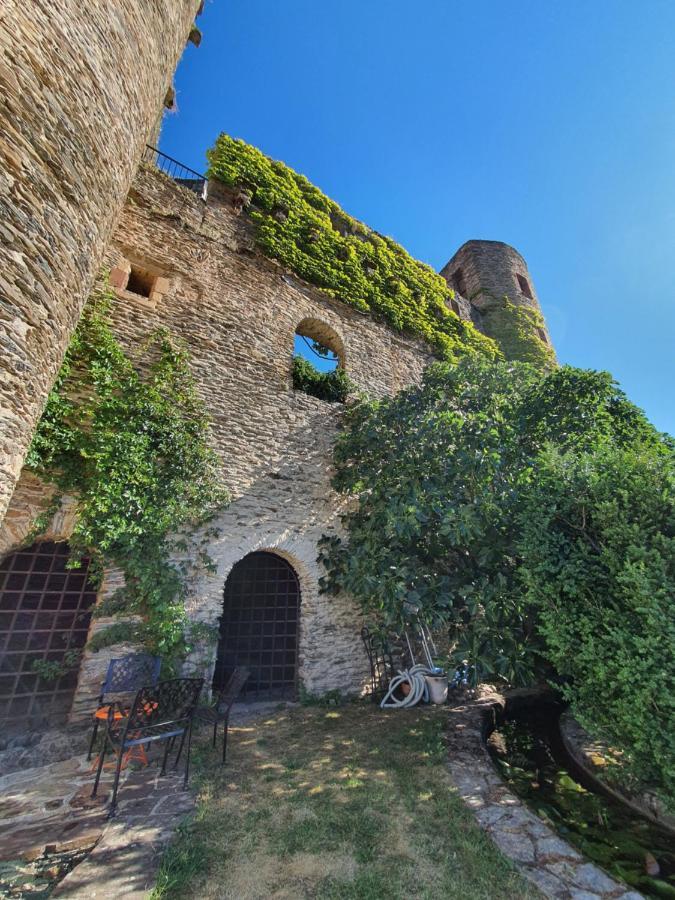 Chambre D'Hotes Au Chateau De Belcastel Belcastel  Exterior photo