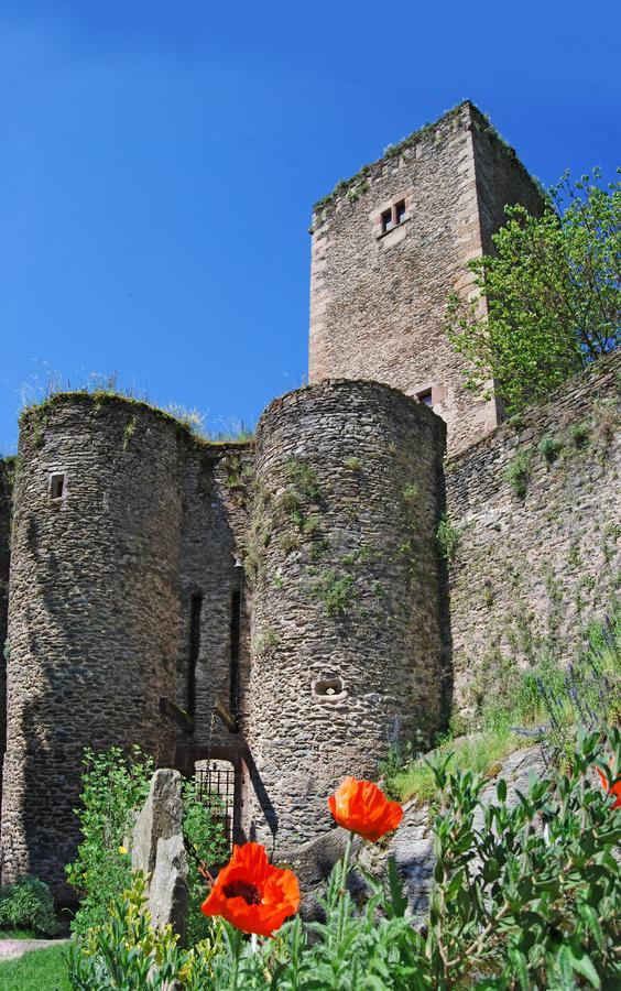 Chambre D'Hotes Au Chateau De Belcastel Belcastel  Exterior photo